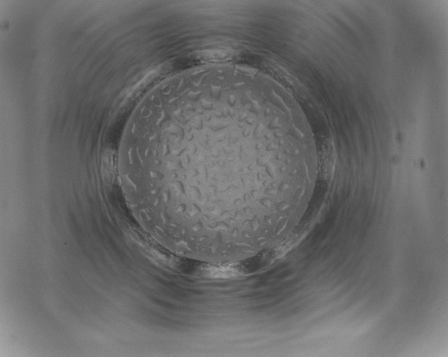 X0000077380093200610201403