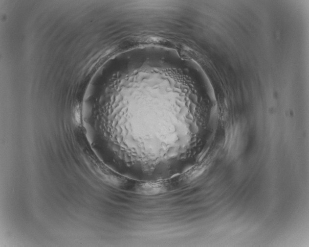 X0000077380095200610201403