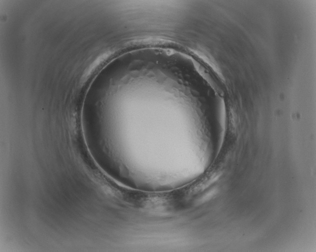 X0000077380111200610201402