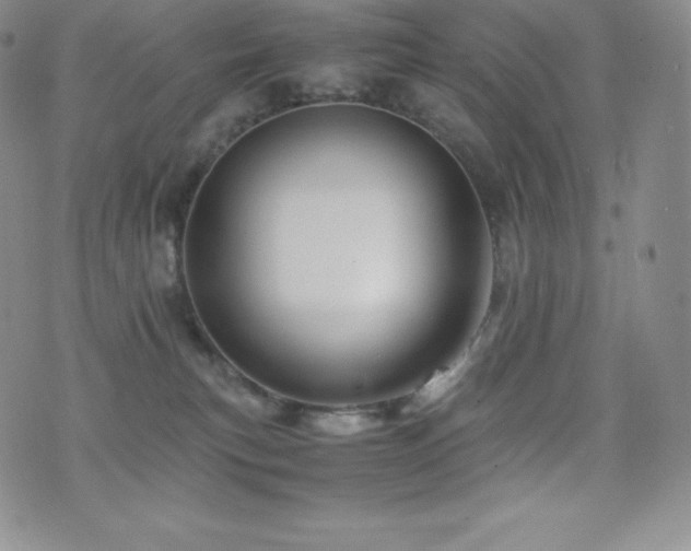 X0000077380183200610201402
