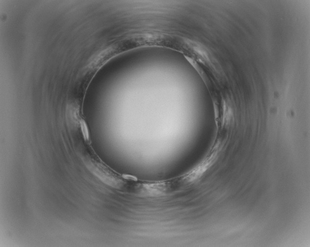 X0000077380188200610201402