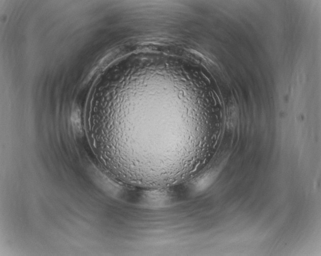 X0000077380238200610201400
