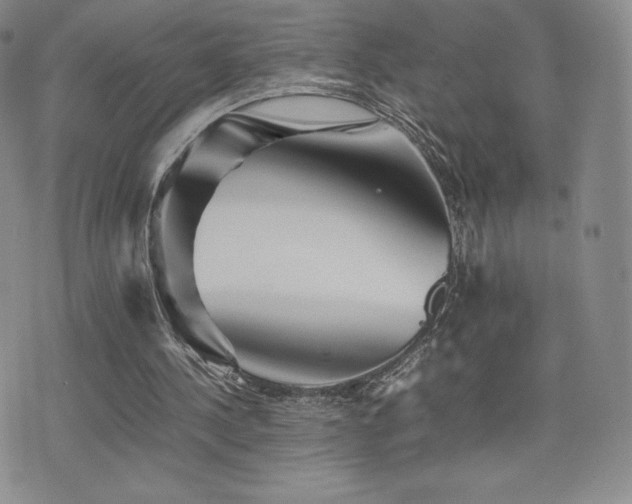 X0000077380244200610201359