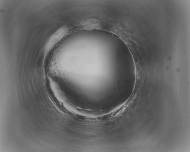 X0000077380245200610201359
