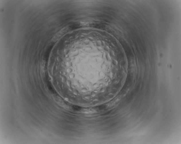 X0000077380275200610201400
