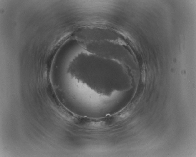 X0000077380314200610201359