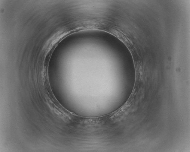 X0000077380338200610201358