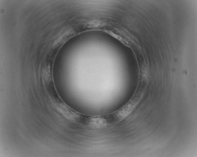 X0000077380376200610201358