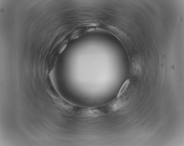 X0000077380379200610201359