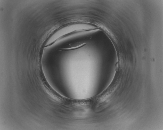 X0000077380445200610201356