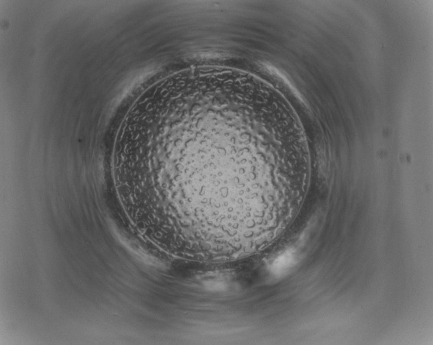 X0000077380447200610201356