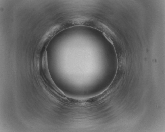 X0000077380452200610201357