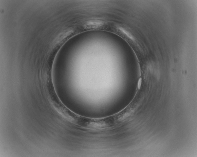 X0000077380455200610201357