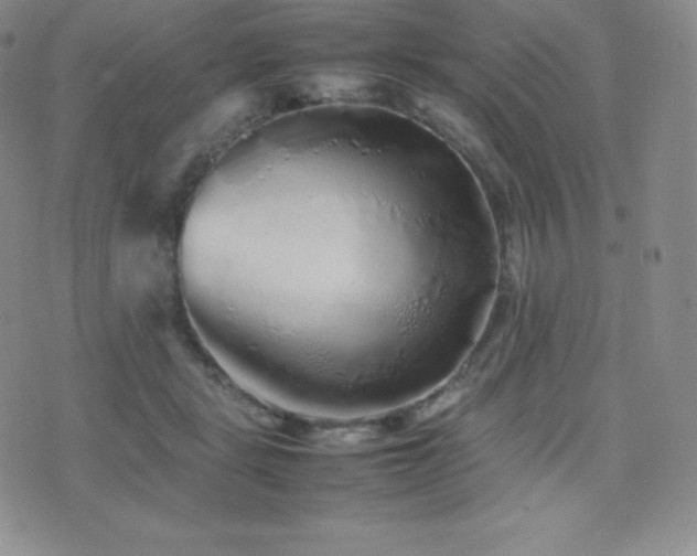 X0000077380461200610201357