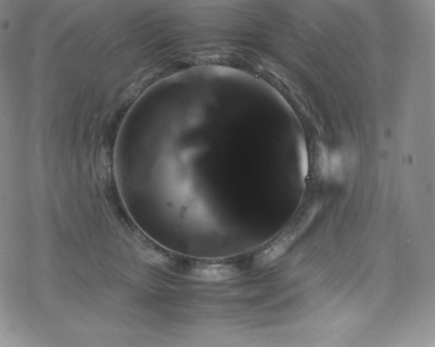 X0000077380467200610201357