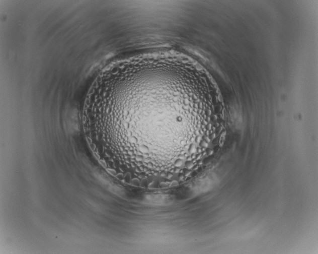 X0000077380470200610201357