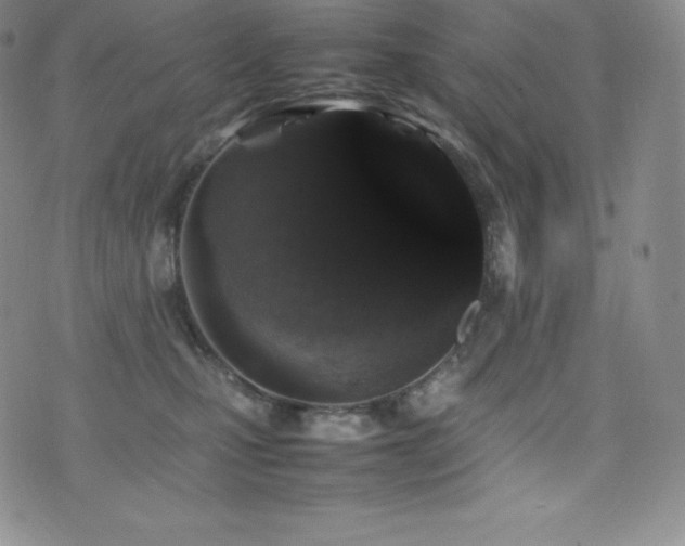X0000077380471200610201357