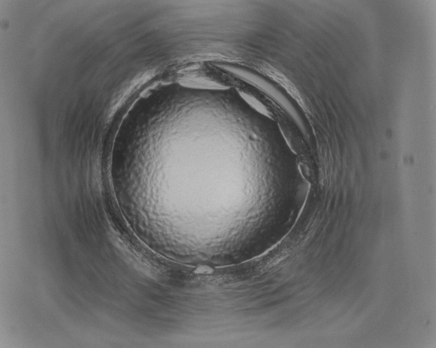 X0000077380482200610201356