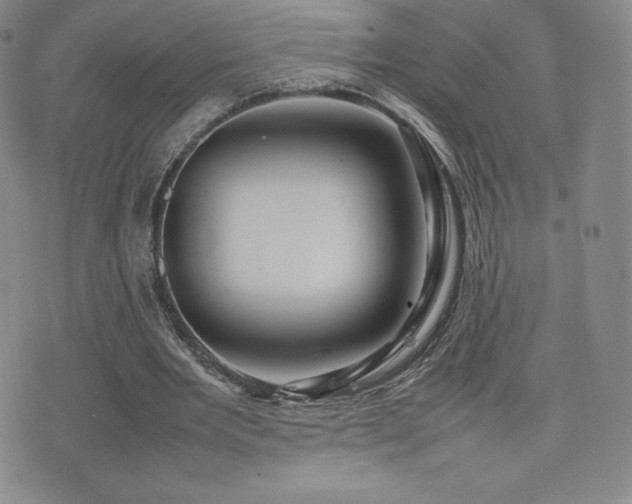 X0000077380485200610201356
