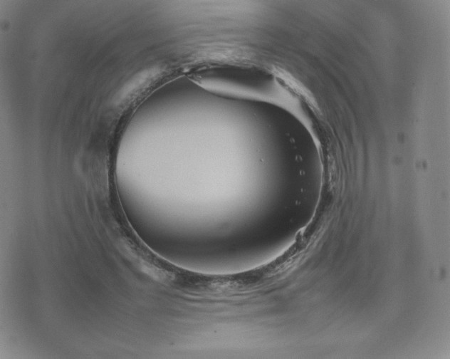 X0000077380493200610201356