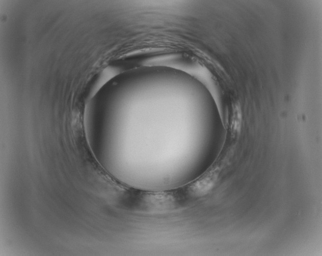 X0000077380521200610201356
