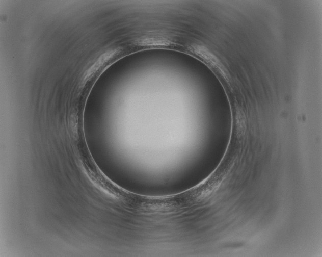 X0000077380533200610201355