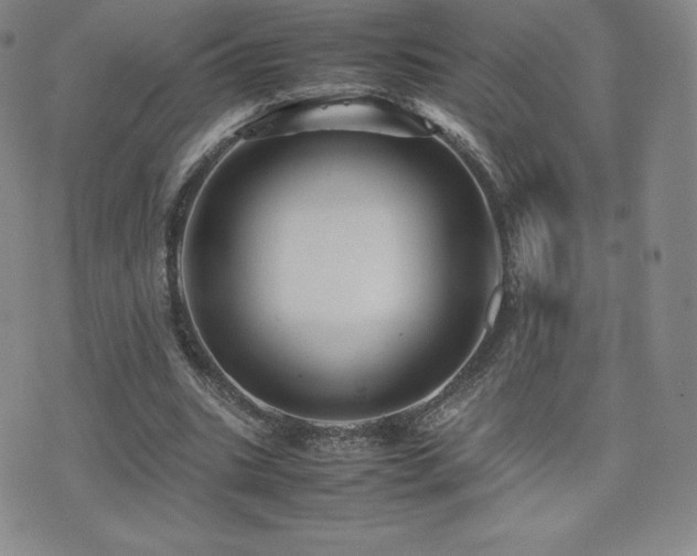 X0000077380535200610201355
