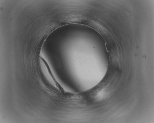 X0000077380546200610201355
