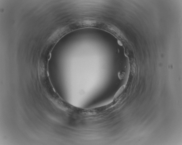 X0000077380552200610201355