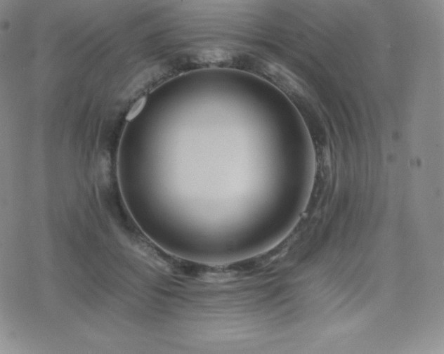 X0000077380556200610201355