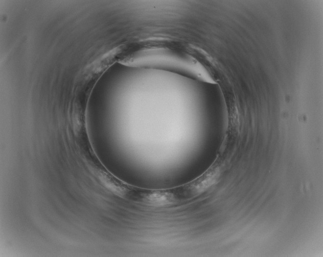 X0000077380566200610201355