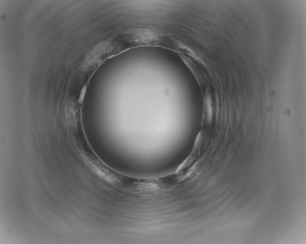 X0000077380572200610201355