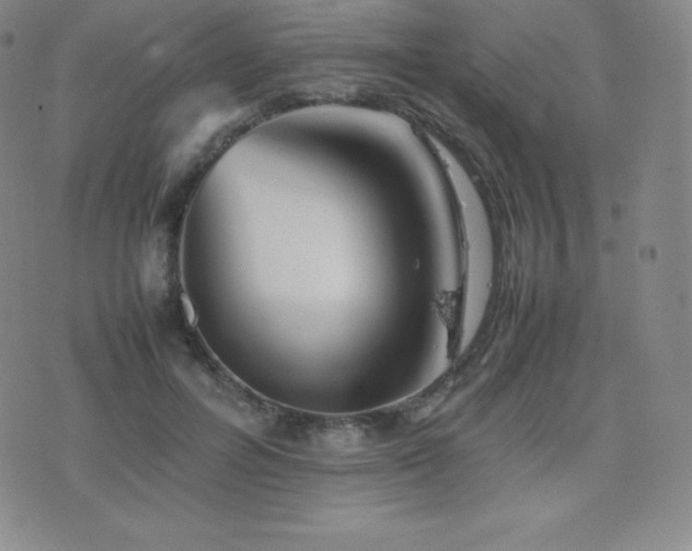 X0000077380600200610201354