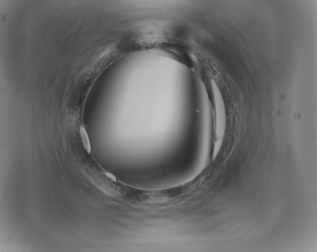 X0000077380601200610201354