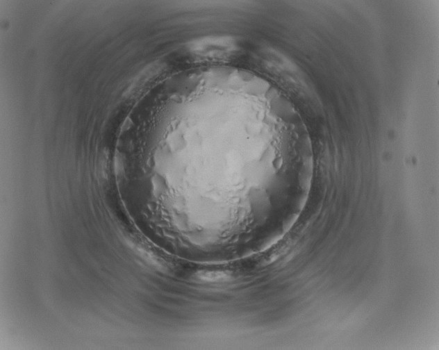 X0000077380649200610201354