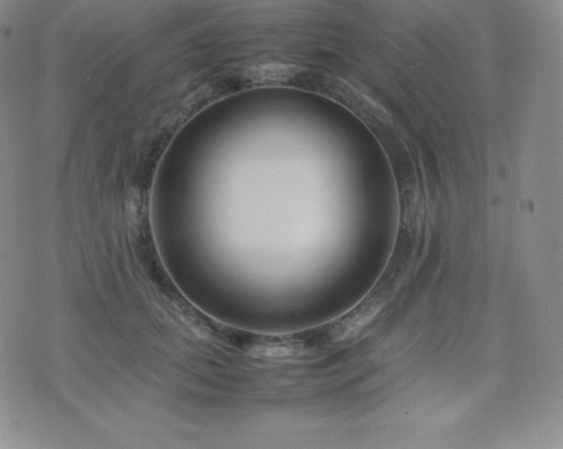 X0000077380655200610201354