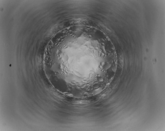 X0000077380657200610201354