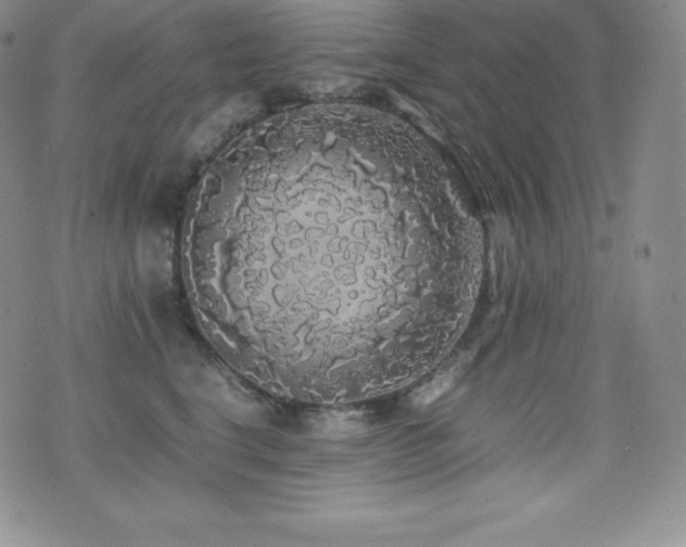 X0000077380664200610201354