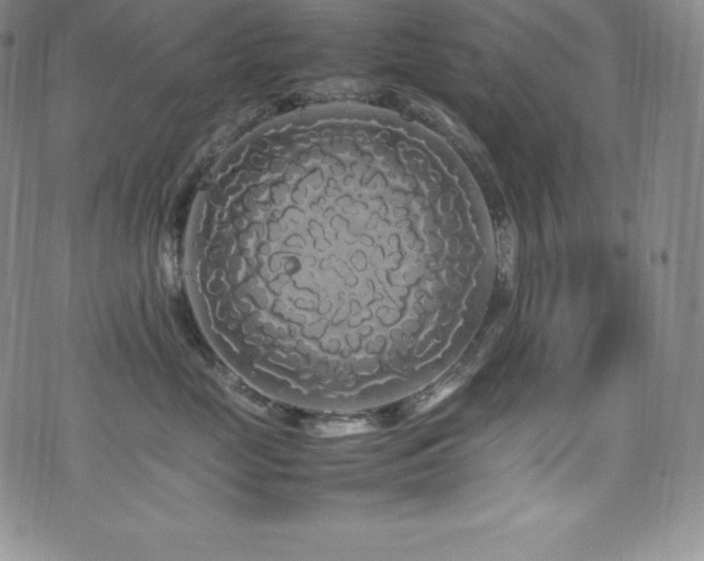 X0000077380669200610201354