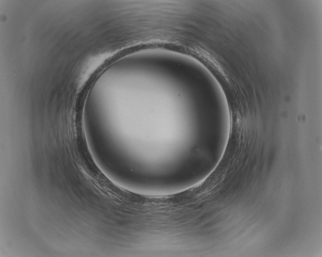 X0000077380676200610201353