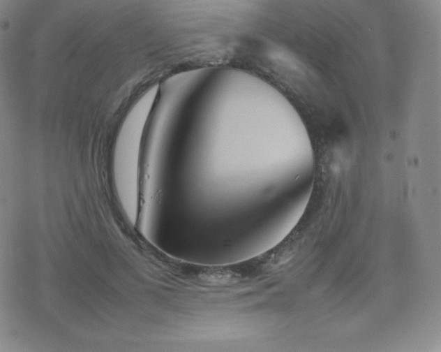 X0000077380693200610201353
