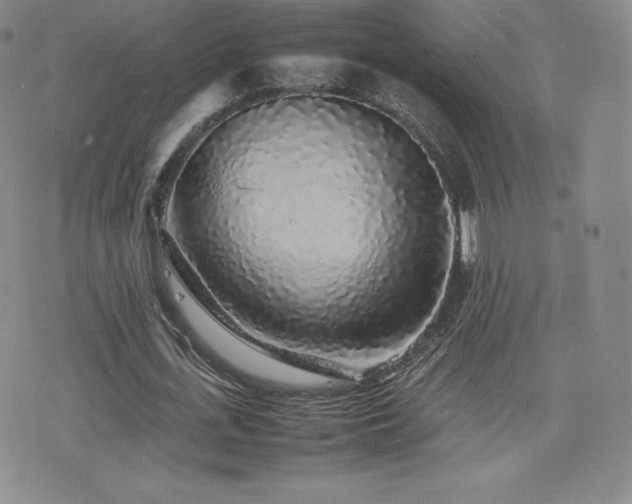 X0000077380723200610201352