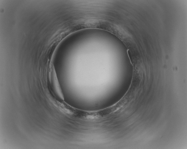 X0000077380744200610201352
