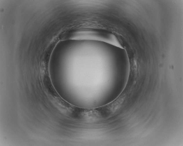 X0000077380752200610201352