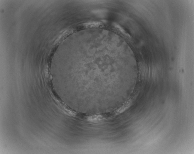 X0000077380761200610201352