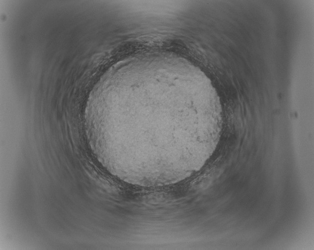 X0000077380769200610201352