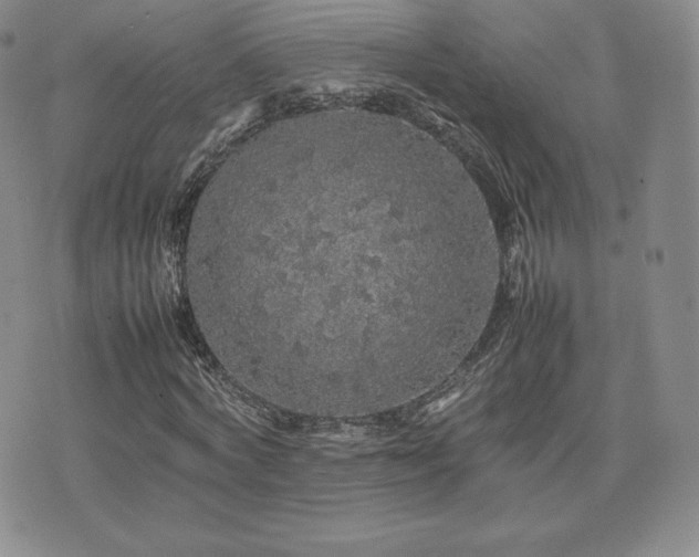 X0000077380772200610201352