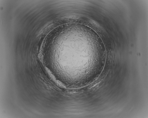 X0000077380774200610201351