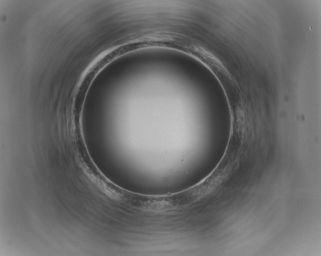 X0000077380784200610201351