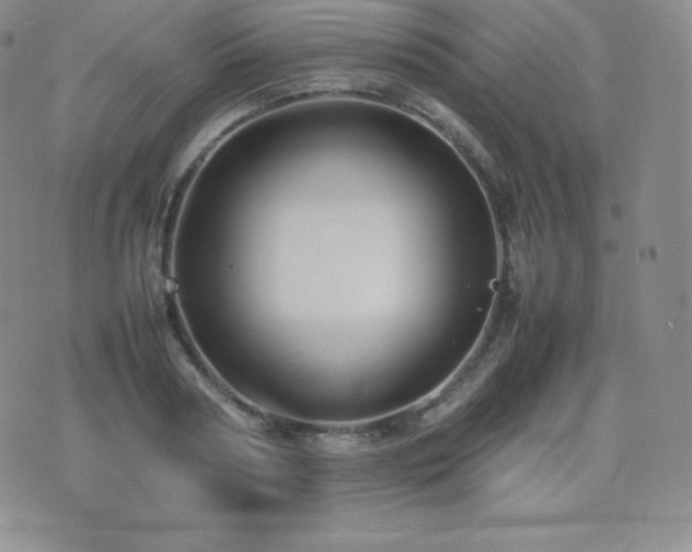 X0000077380794200610201351